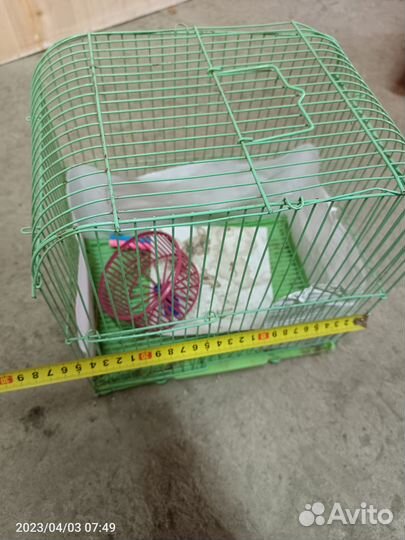 Клетка для грызунов бу