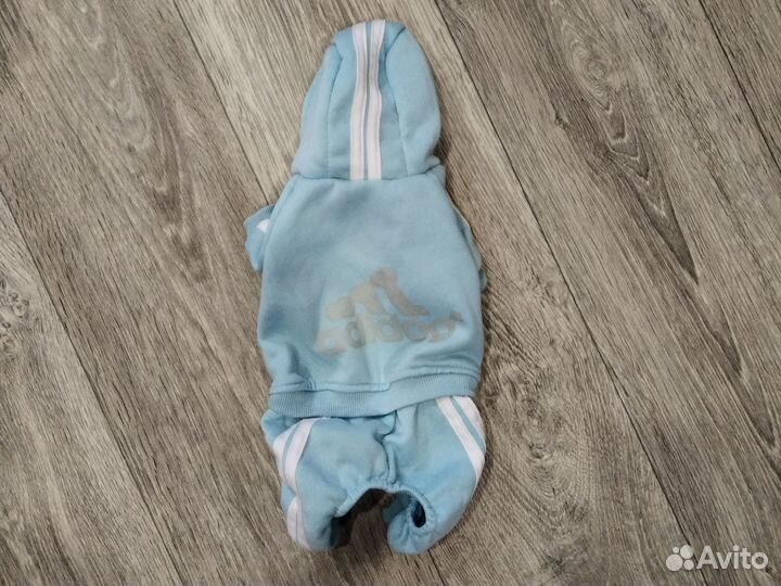 Костюм для собак