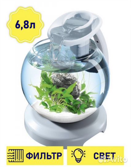 Аквариум tetra