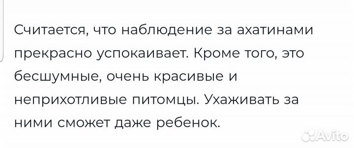 Улитки ахатины бесплатно