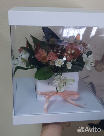 Цветы и живые бабочки