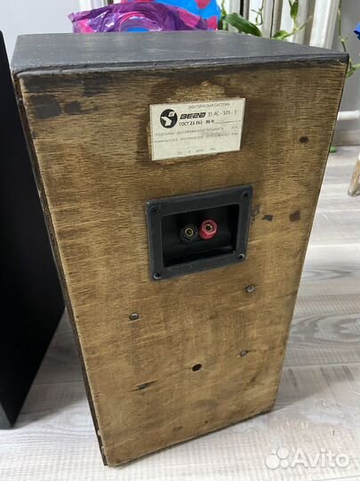 Колонки Вега 35ас 105