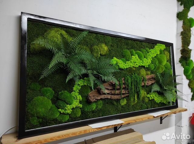 Панно, картины, озеленение, мох