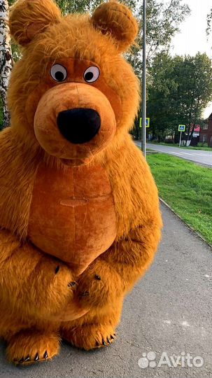 Мишка поздравление ростовая кукла