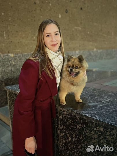 Выгул/Няня для питомца/Передержка