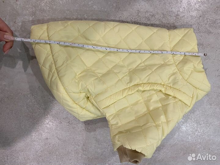 Одежда для собаки