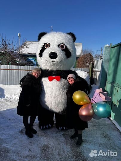 Кинг конг, белый мишка поздравление