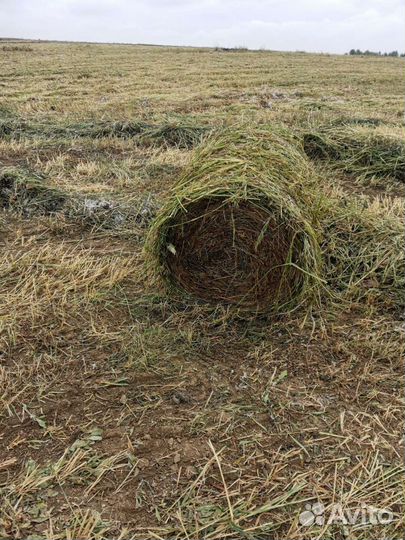 Принимаю заявки на сено, солома