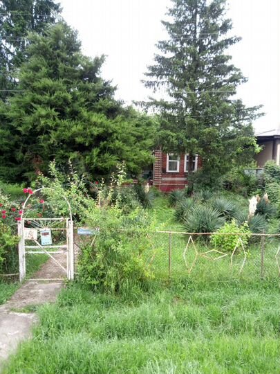 Дом 45 м² на участке 12 сот.