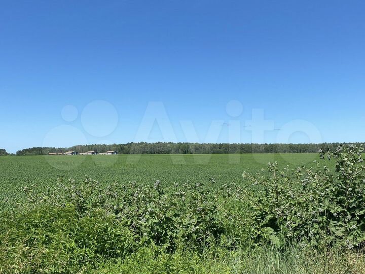 Участок 6,15 га (СНТ, ДНП)