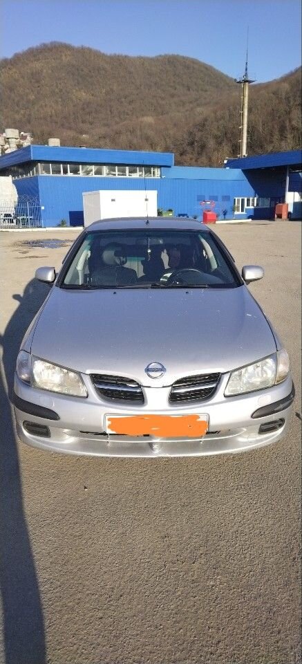 Nissan Almera: фото владельца