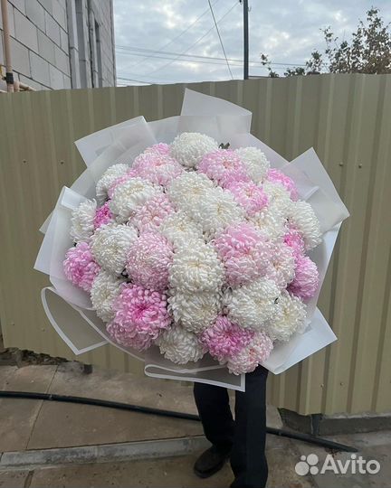 Букеты из хризантем цветы