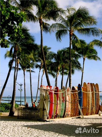 Sup board Сап борд