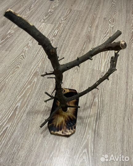 Ветка для попугая