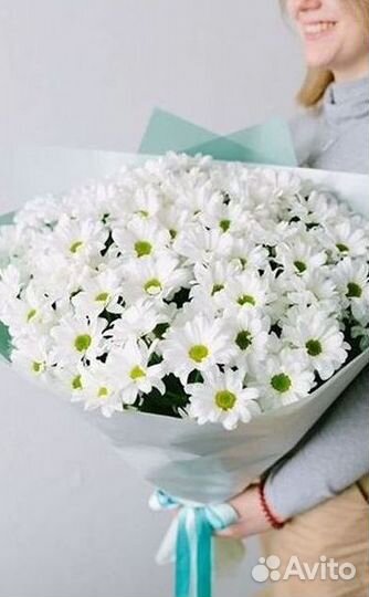 Хризантема Доставка цветов Букеты