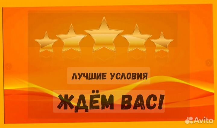 Наборщик заказов Без опыта Еженедельные выплаты