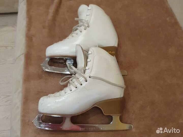 Фигурные коньки edea motivo 225