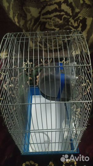 Клетка для попугая
