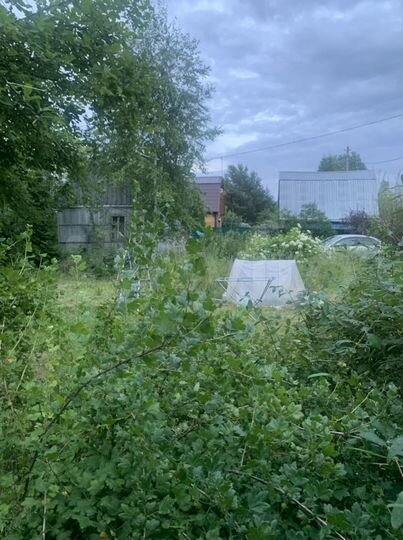 Участок 6 сот. (СНТ, ДНП)