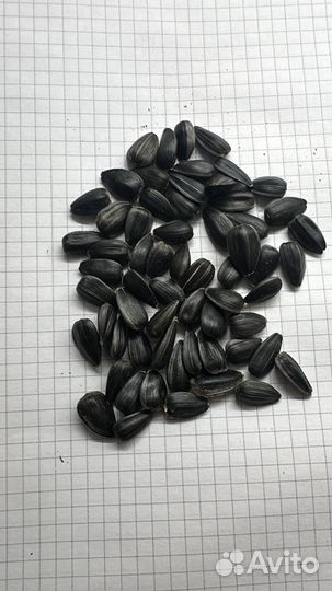 Калибровка подсолнечника