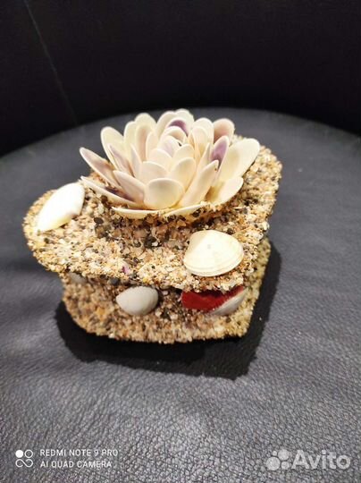 Шкатулка с морскими ракушками ручная работа