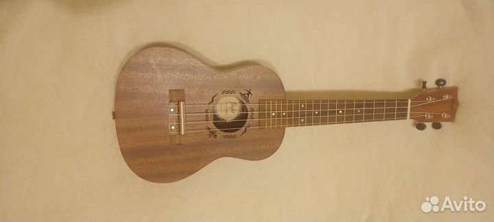 Укулеле flight концерт