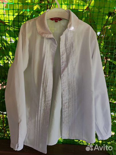 Блузка белая школьная на девочку 134 Next и др