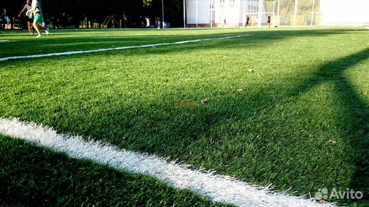 Газонная трава в рулонах в наличии