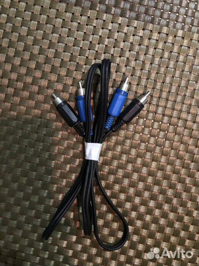 Тюльпаны провода