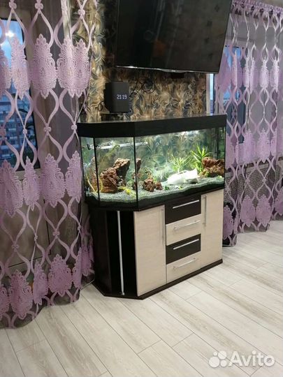 Аквариум