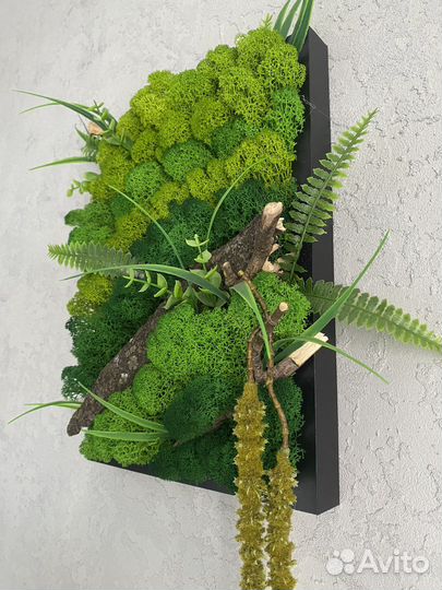 Стабилизированный мох панно