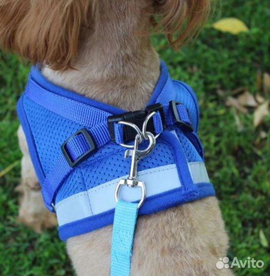 Шлейка и рулетка