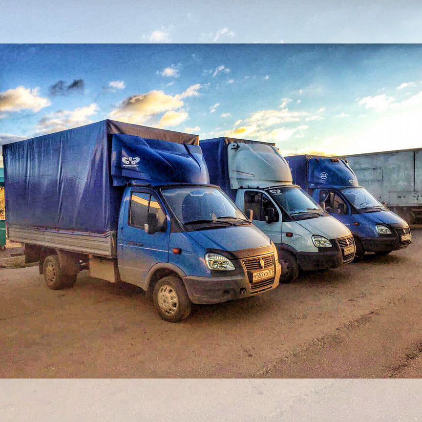 Порно үштік би