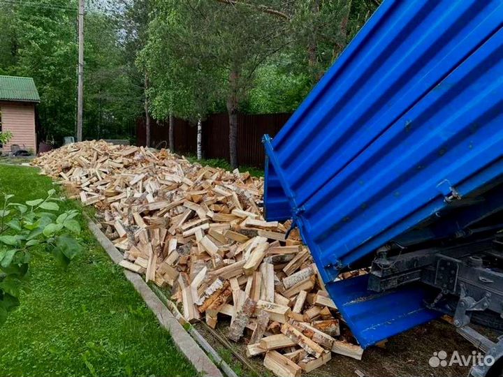 Дрова колотые березовые