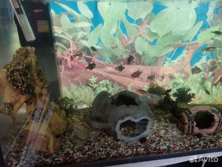 Аквариум с тумбой