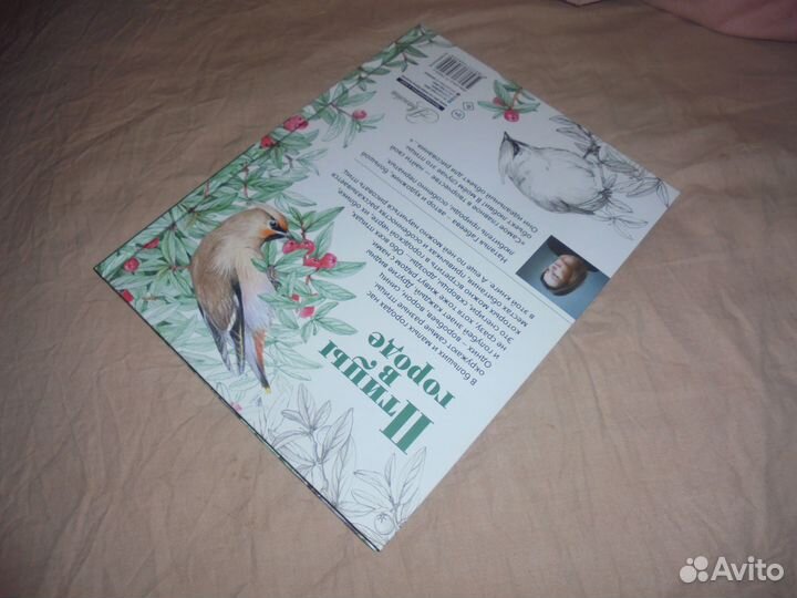 Птицы в городе Н.Габеева Аванта 2022