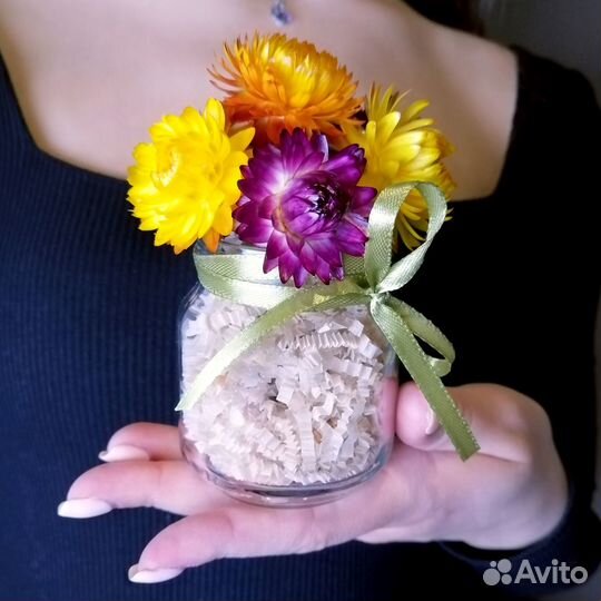 Сухоцветы в банке