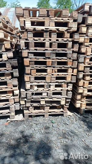 Продаю поддоны