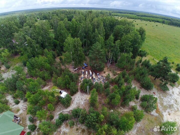 Продам пчёл