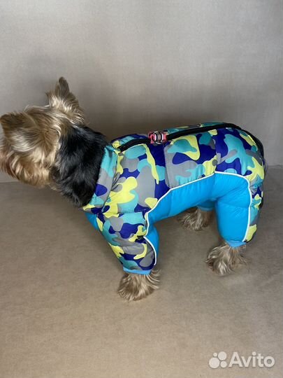 Одежда и аксессуары для животных