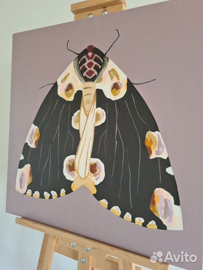 Интерьерная картина Мотылек (60 на 60)