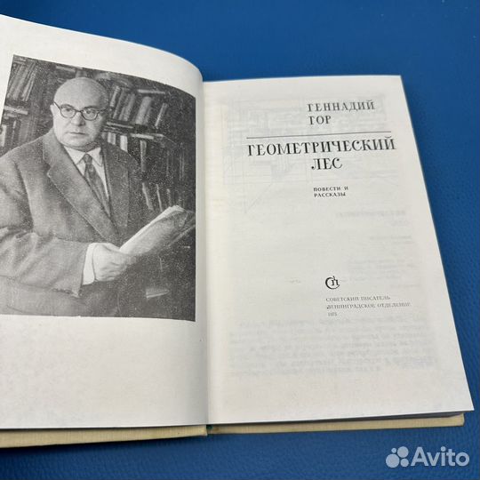 Геометрический лес Геннадий Гор 1975