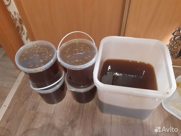 Мед алтайский