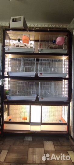 Клетка Вольер для птиц