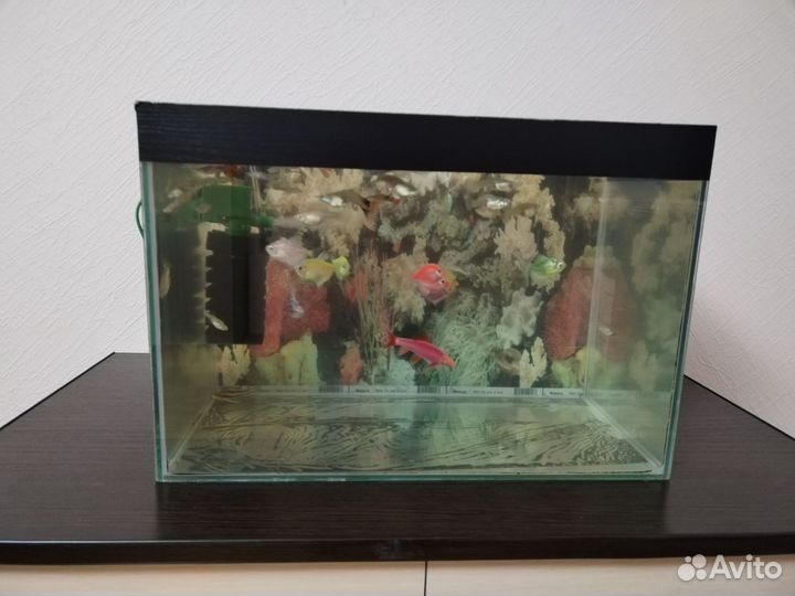 Аквариум