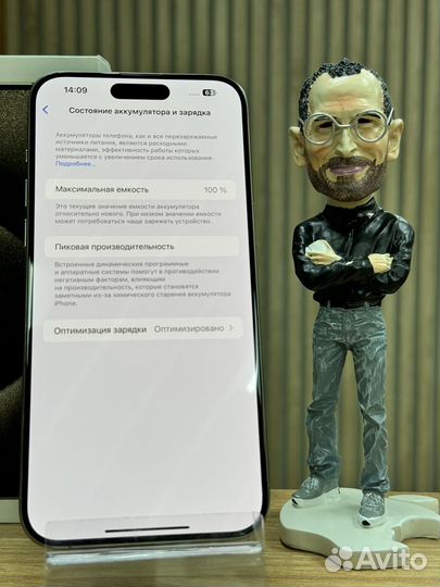 iPhone 15 Pro Max, 256 ГБ