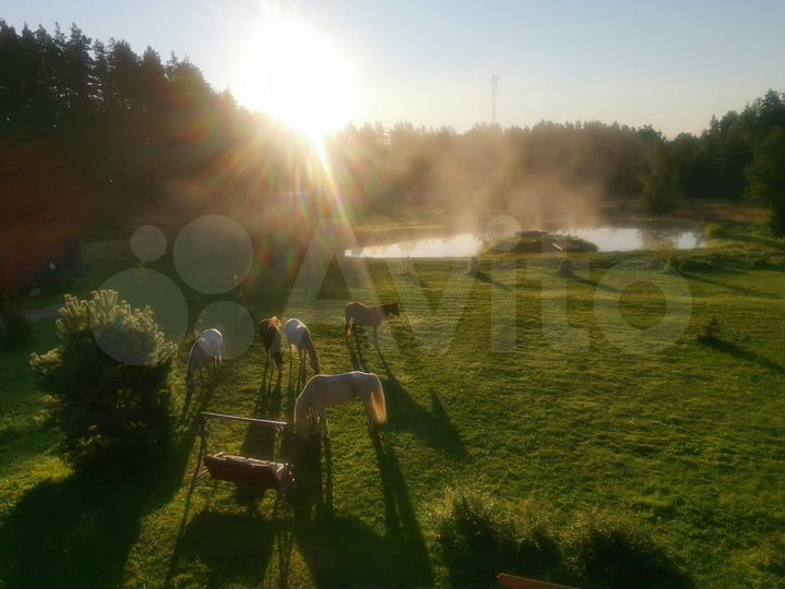 Участок 20 сот. (СНТ, ДНП)