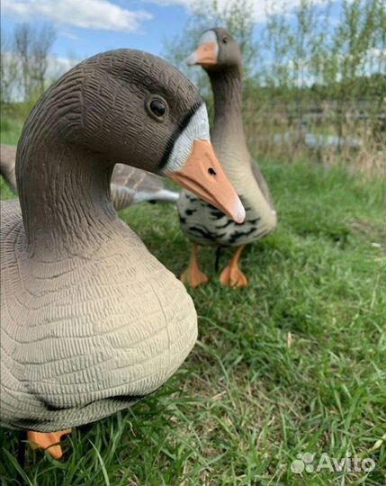 Чучела белолобый гусь North Way Softplast 3D