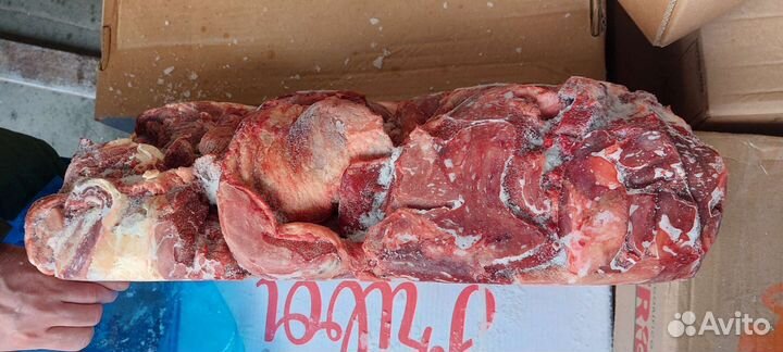 Мясо говядины,передние четверти Бразилия,Парагвай