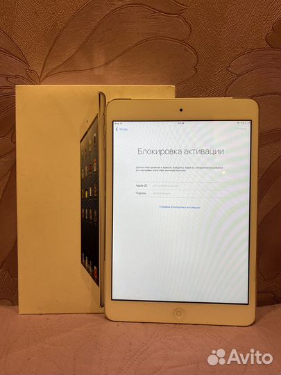 iPad mini